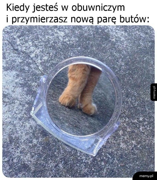 Prezentują się całkiem nieźle