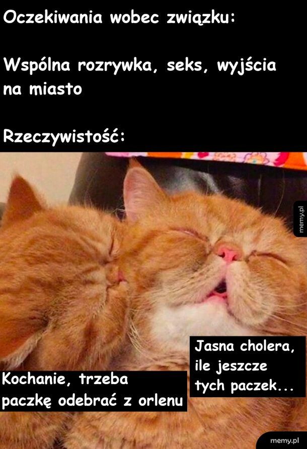 Oczekiwania vs rzeczywistość