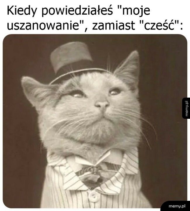 Przywitanie