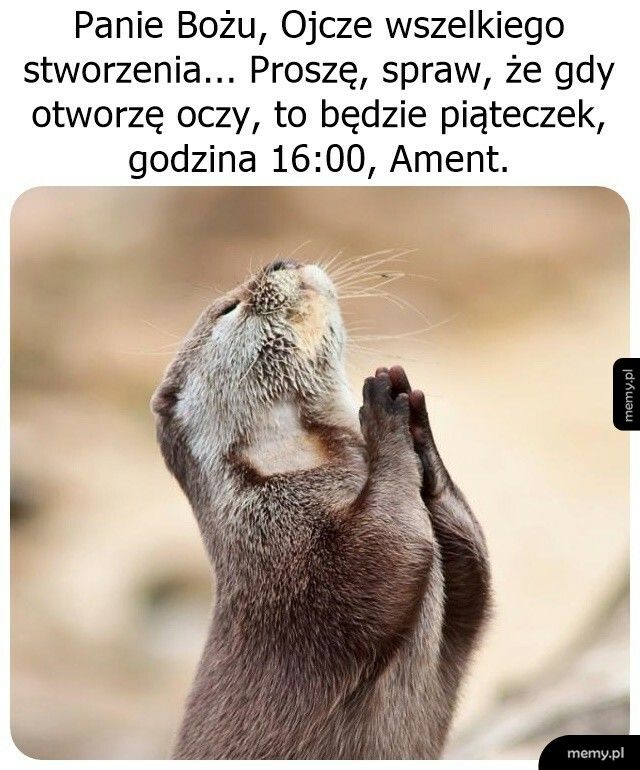 Kiedy chwytasz się już wszystkiego