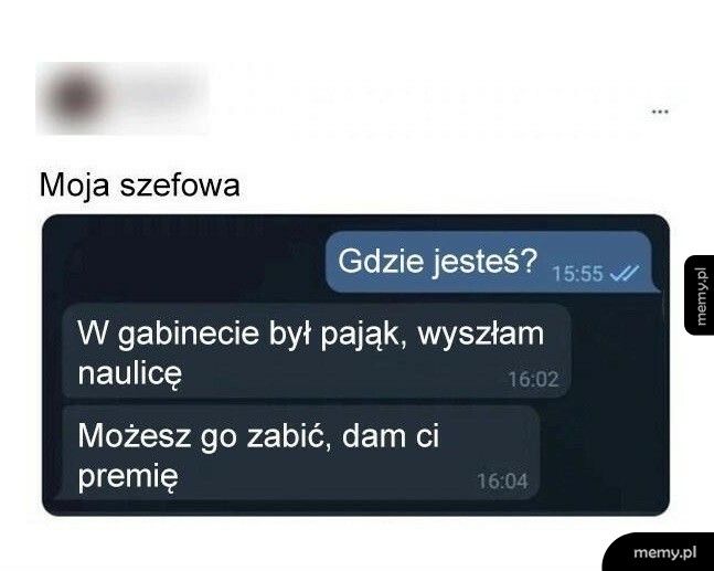 Szefowa vs. Pająk