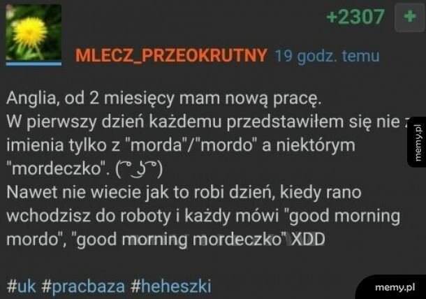 A mógł się przedstawiać "królu złoty"