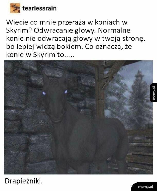 Konie w Skyrim