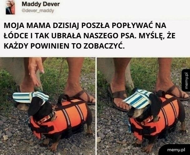 Bezpieczeństwo przede wszystkim