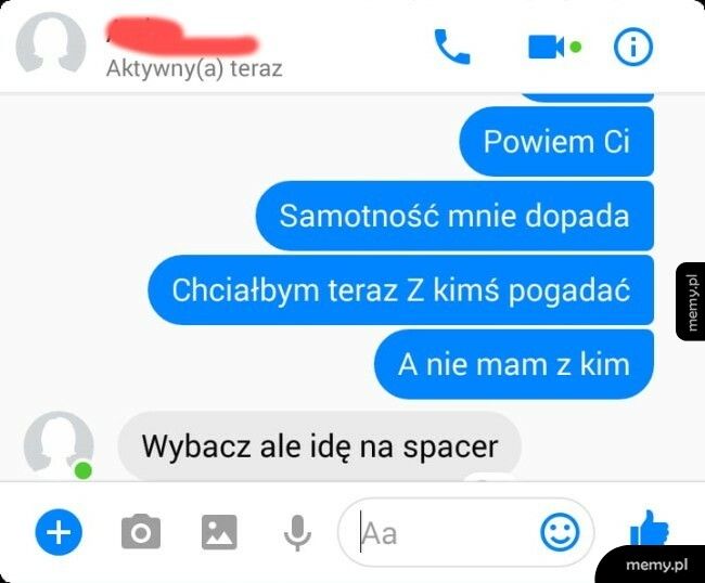 Towarzysz rozmowy