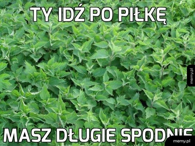 Tak było