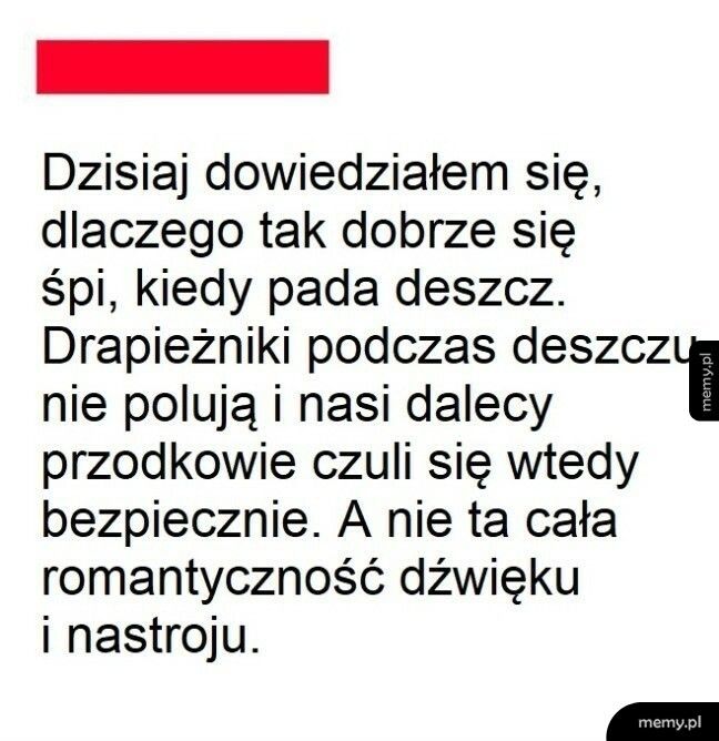 Sen podczas deszczu