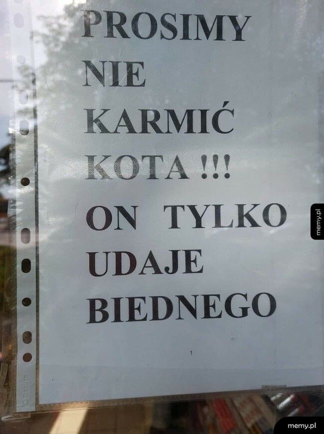 On tylko udaje