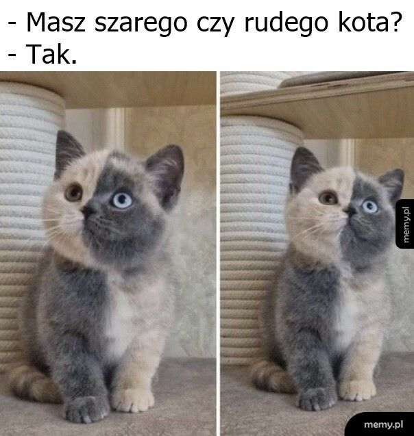 Mieszanego