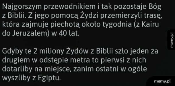 Przewodnik...