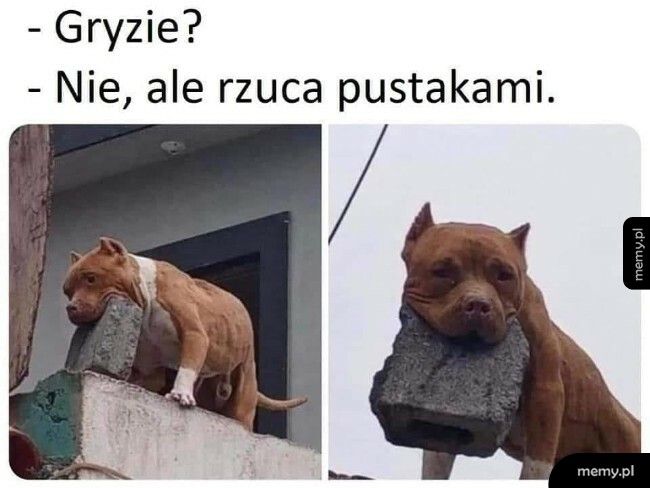 Jeszcze gorzej