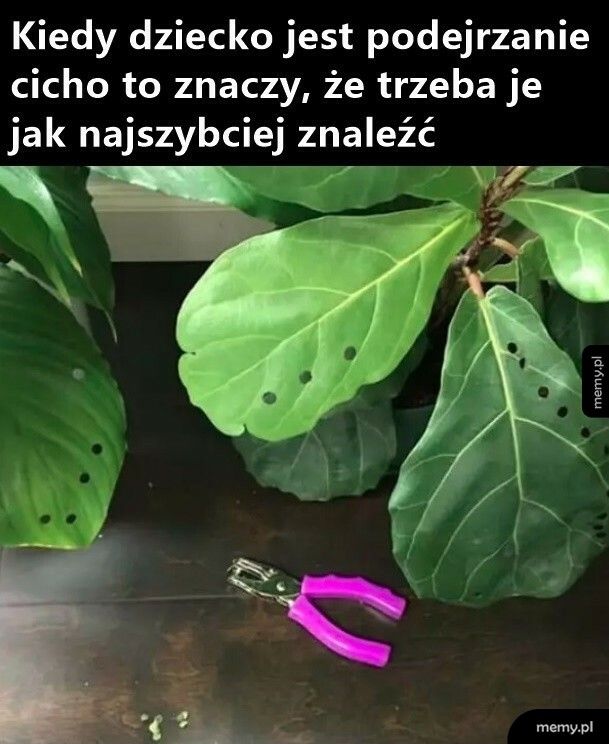 Podejrzana cisza