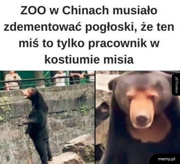 Pogłoski