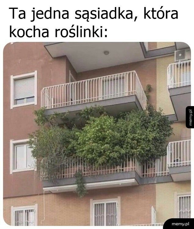 Ta jedna sąsiadka