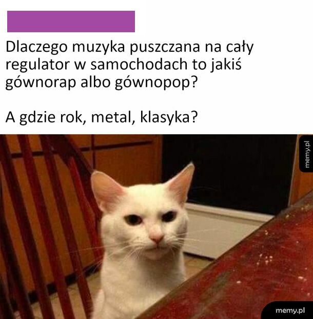 Muzyka w samochodach