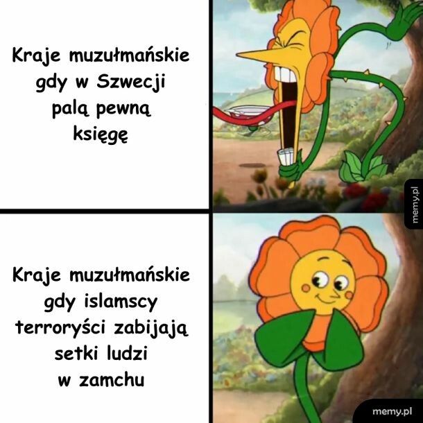 Różne reakcje