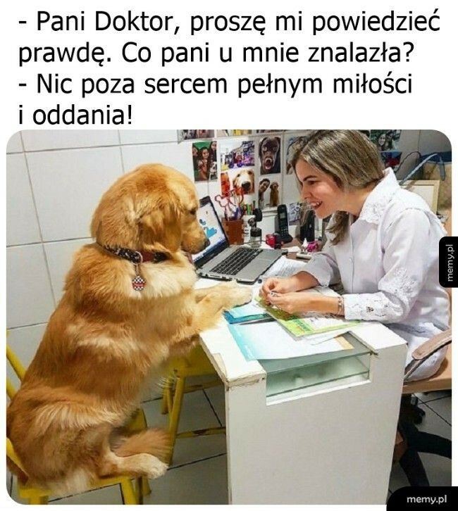 Jednoznaczna diagnoza