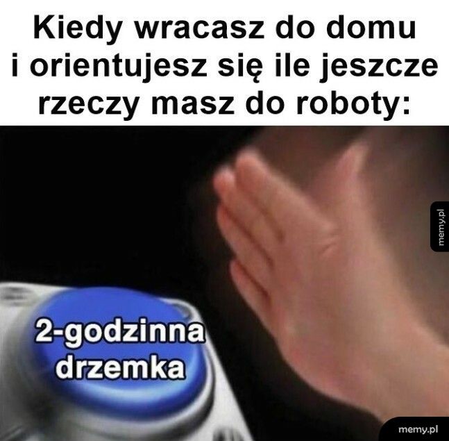 Najlepsza opcja