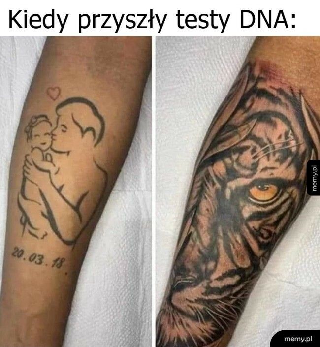 Testy DNA