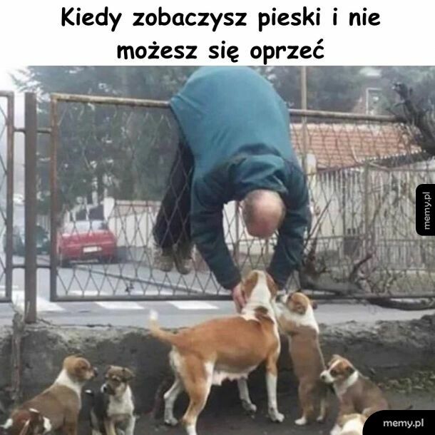 Wszyscy lubią głaskać