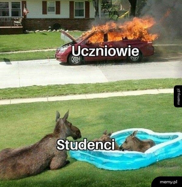 Studenci