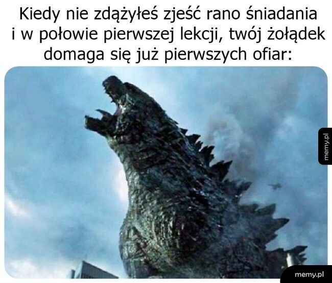 Pusty żołądek