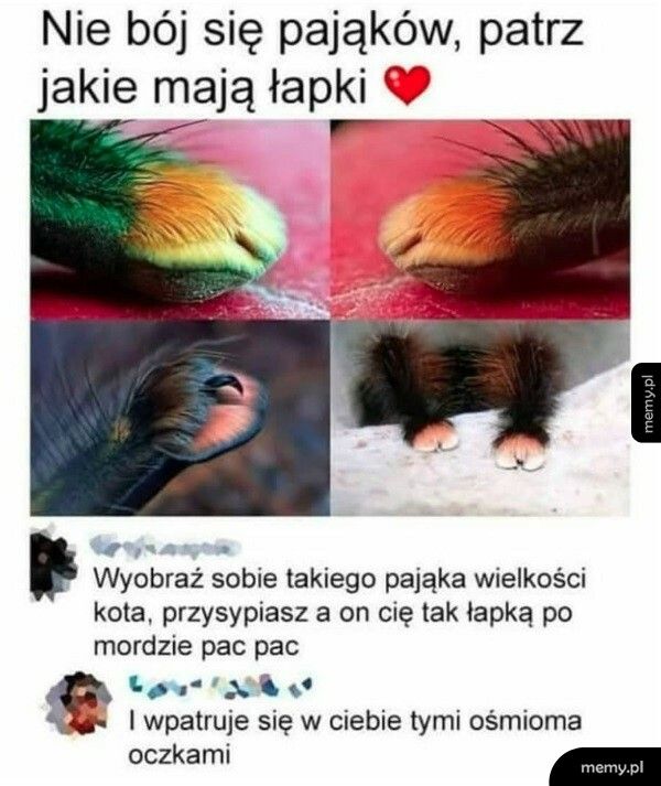 Istne słodziaki