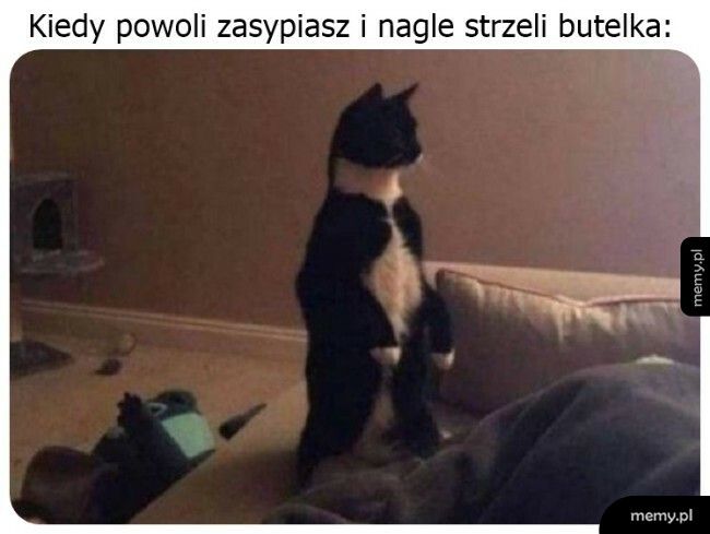 Co się dzieje?!