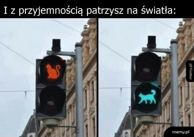 Światła