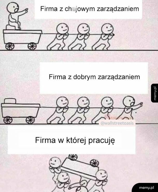 Zarządzanie w firmie