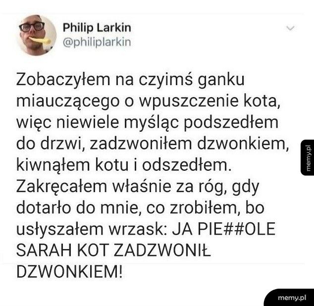 Coraz mądrzejsze te koty