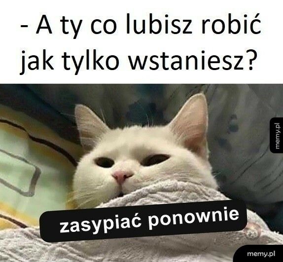 Dokładnie.