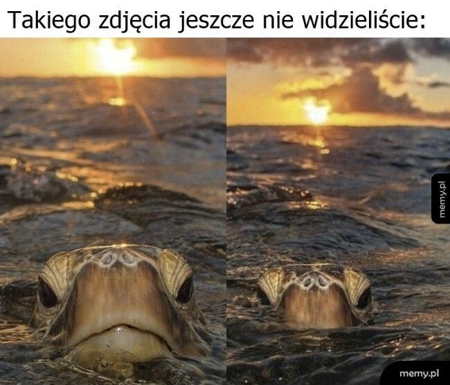 Piękne