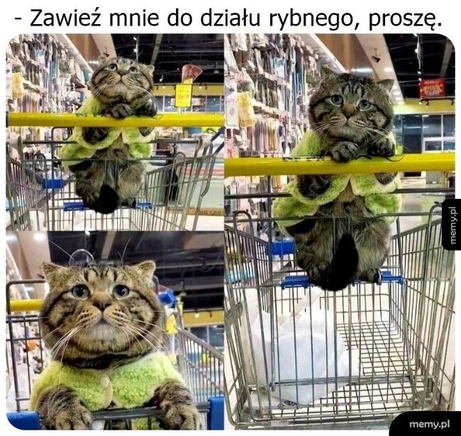 Kierunek: Dział rybny