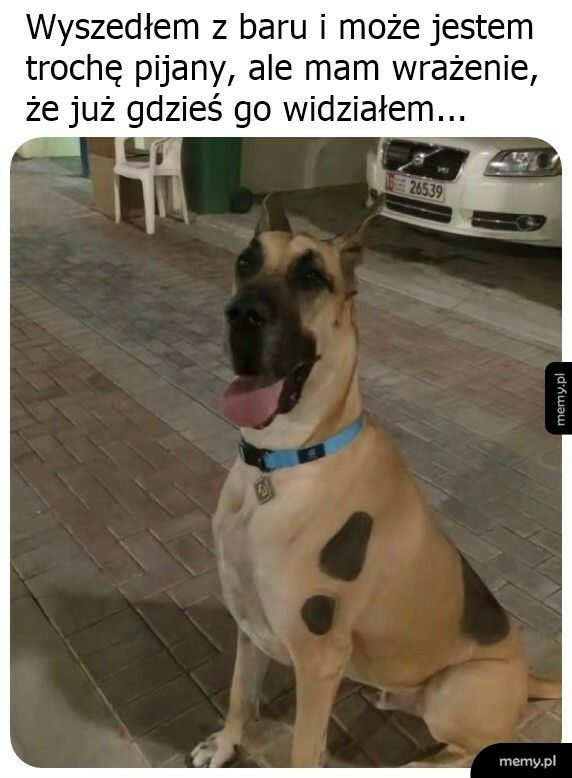 Wygląda znajomo