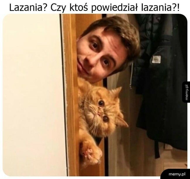 To, co Garfield lubi najbardziej