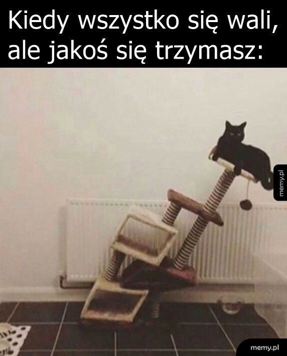 Jakoś trzeba