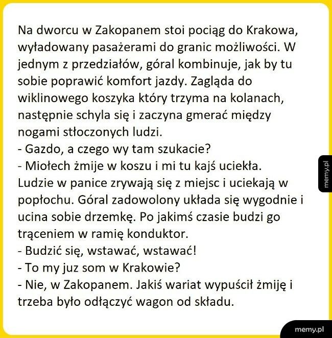 Zatłoczony pociąg