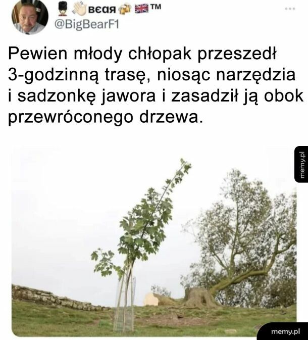 Urzekająca historia