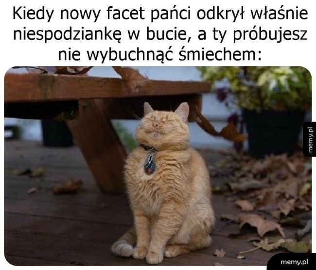 Mały żarcik na początek