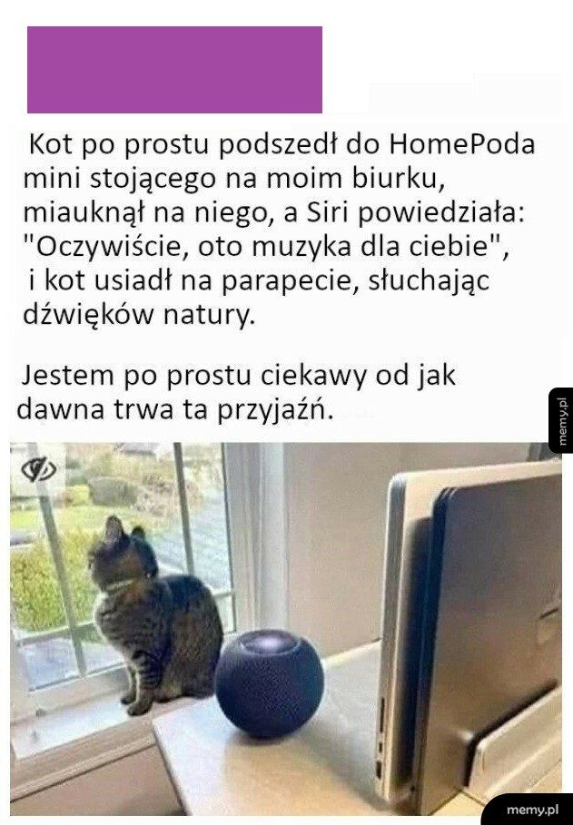 Prośba od kota