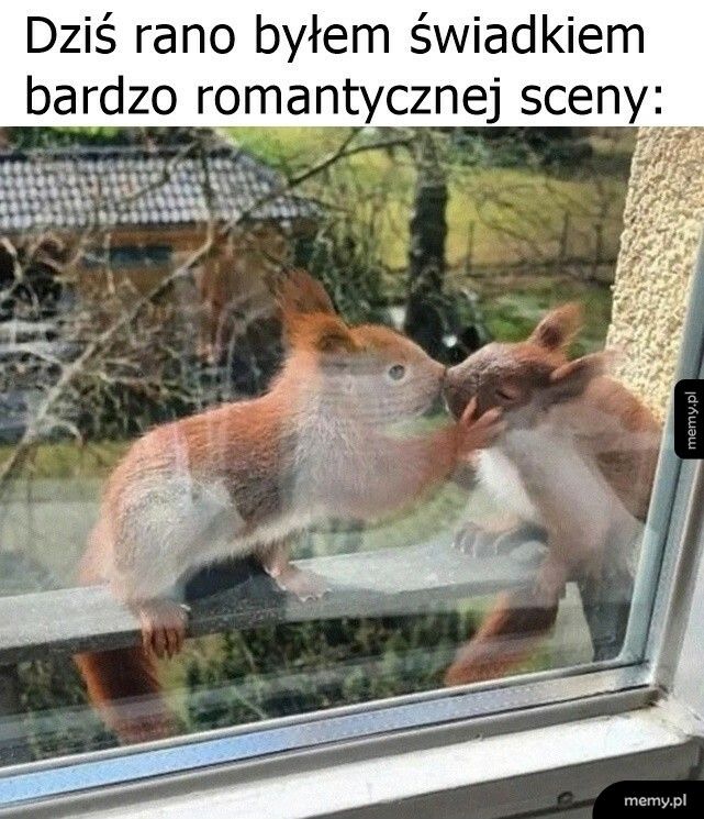 Romantyczna scena o poranku