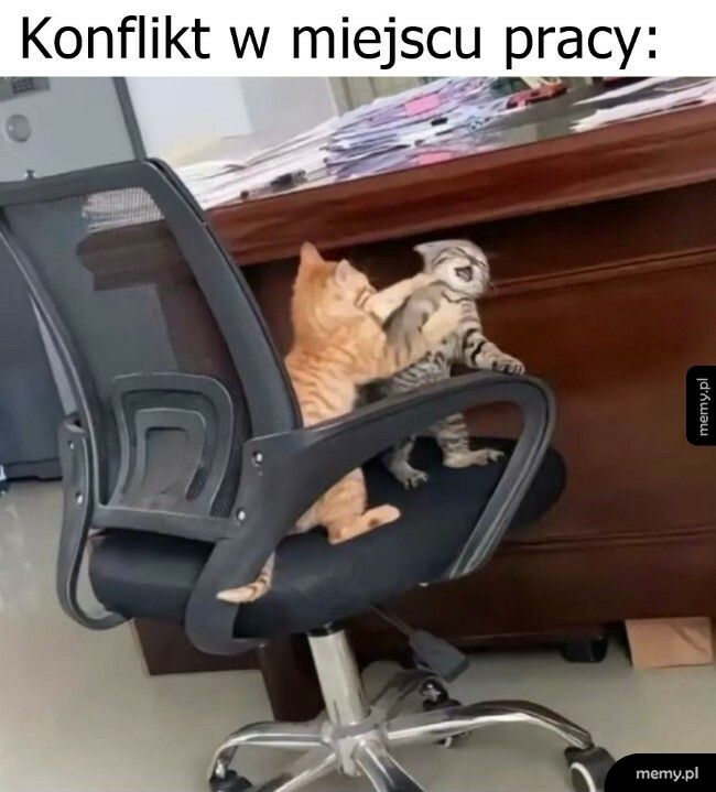 Konflikt w miejscu pracy