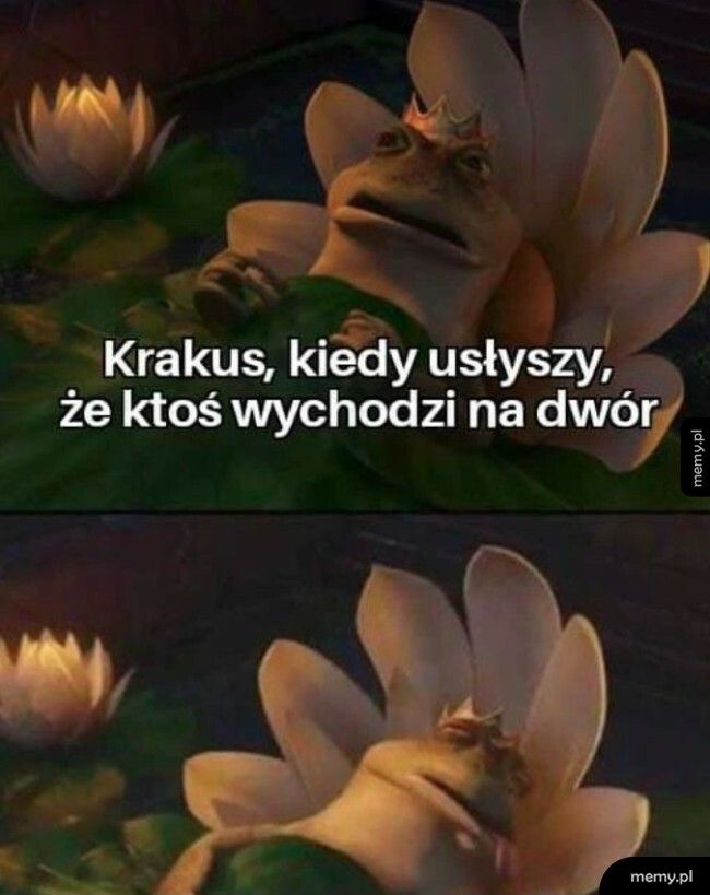 To już zbyt wiele