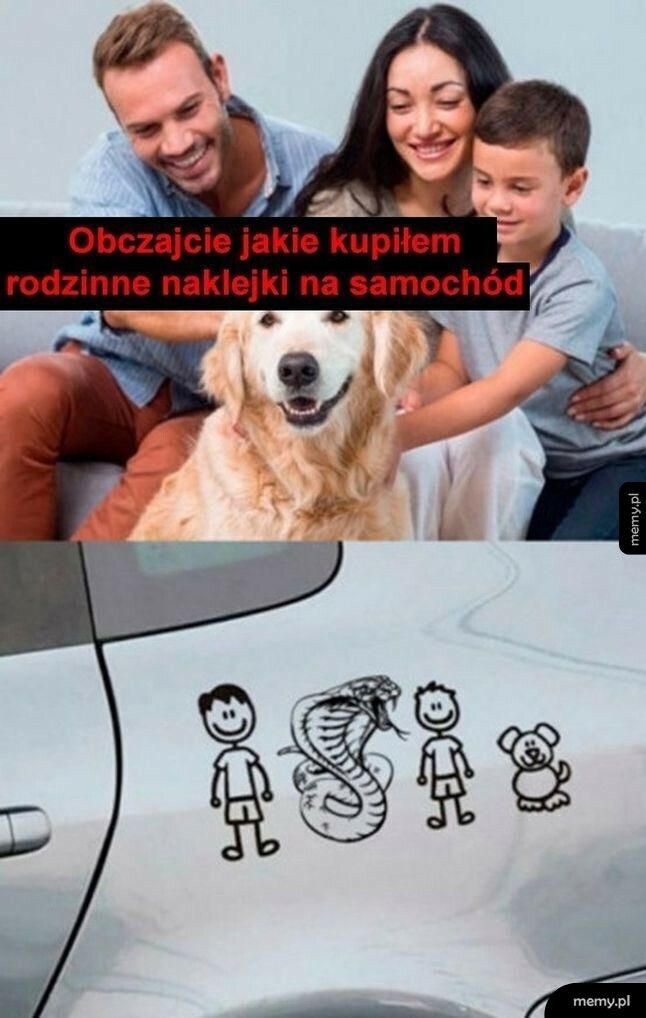 Rodzinne naklejki na samochód