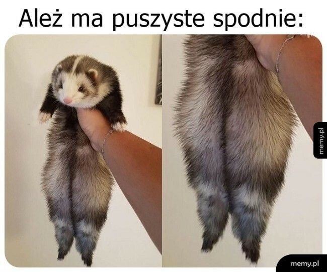 Puszyste spodnie