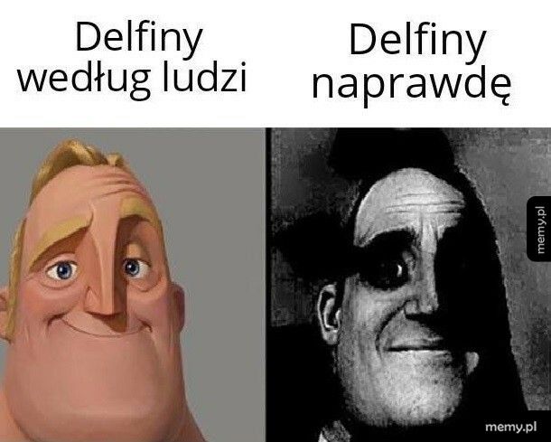 Delfiny