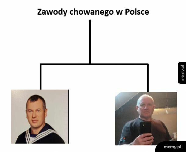 Zawody chowanego w Polsce