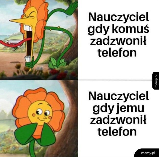 Nauczyciele