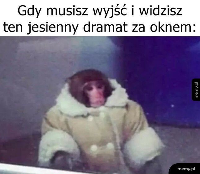 Zostałoby się w domu